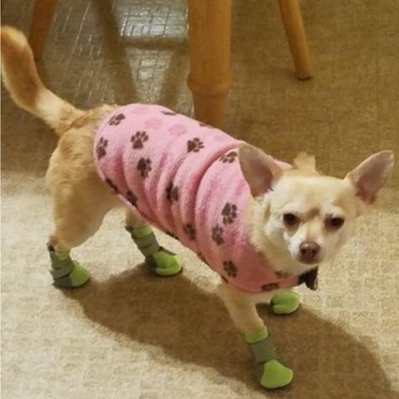 🐾🐾Dog Booties Paw Protectors Shoes Size Medium 🐾🐾 - Picture 8 of 9